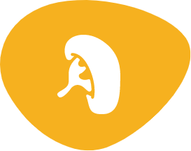 spleen